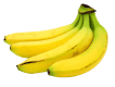 Fresh bananas for export