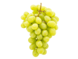 Fresh grapes for export