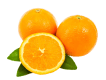 Fresh oranges for international markets