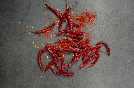 Premium Teja S17 red chillies with intense heat and deep red colour