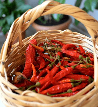 High-Quality Dry Red Chilli – Ethically Sourced by JPImpex